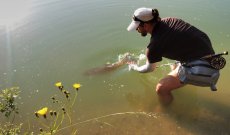 Testing Window - Buff® Original UV Arm & Coastal Sleeves - Article