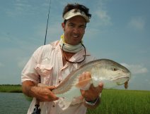 High tide red from the spartina grass
