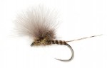 McPhail CDC Olive Quill
