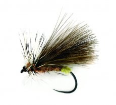 Championship Caddis