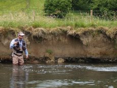 Another article about French Nymph