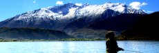 North and South Island of New Zealand - Article