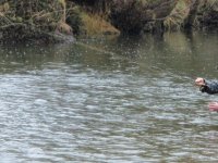 My contribution to The Tactical Series River Range of Flies