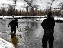 Assisting another thick brown