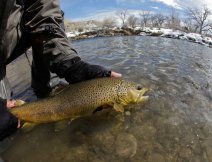 Letting  go can be hard to do