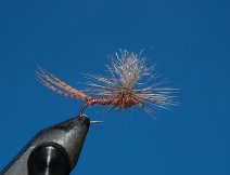 Hendrickson para dun - Ephemerella subvaria