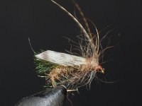 Rising Trout With A Rhythm