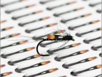 Easy available Jungle Cock