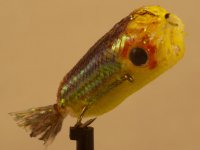 Fishing the Bung