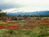 A Puzzle As Big as Cheops