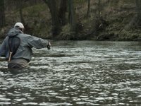 Fly fishing with caddis flies