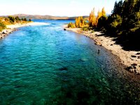 A brown I dreamt about