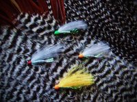 At the Vice - Gentle Sparkler