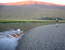 The fight coming to an end on the Vatnsdalsa River.