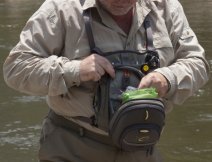 Searching for lip balm