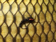 At the Vice - AR Carp Tuty