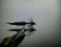 Small black jig bugger – take a photo
