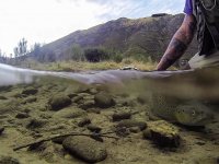 Mataura River, New Zealand - Tips & Tales