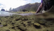 Mataura River, New Zealand - Tips & Tales