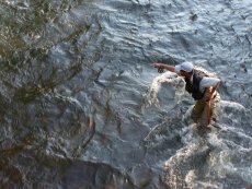 Article that summarises Czech Nymphing