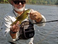 Small Mouth/Big Heart