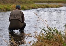 Active Nymph Fishing