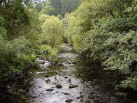 Karlovarsko 2004 (Karlsbad Fly Fishing Blues)