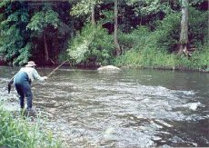 History of the Czech Nymph Article