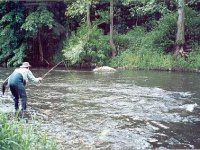 History of the Czech Nymph