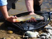 The Forgotten Ten Degree Angle