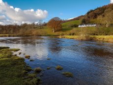 Hooked On The Ladies - Article