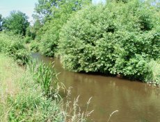 Fly Fishing For Coarse Fish - May