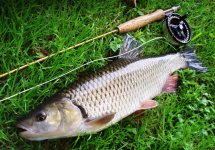 The Best WET FLIES For Chub Fly Fishing - Article