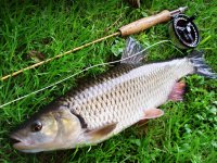 The Best WET FLIES For Chub Fly Fishing