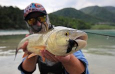 The Best STREAMERS For Chub Fly Fishing - Article