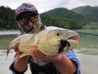 The Best STREAMERS For Chub Fly Fishing