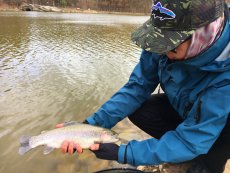 Stillwater Fly Fishing With Floating Fly Line - Article