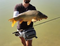 A hefty golden mirror carp at the end. Mission accomplished!