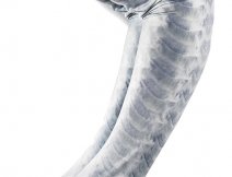 Buff Original UV Coastal Arm Sleeves Bonefish