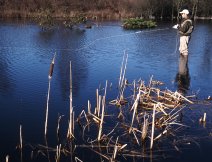Fishing into a breeze