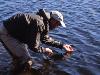 Winter Midge Fishing