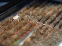 Grayling on a diet – Polish crisis flies