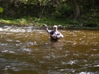 Article about French Nymphing