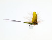 First place in dry fly category
