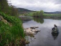 In Pursuit of Giants Article