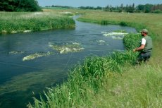 Fly Fishing For Grayling In Denmark - Article