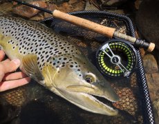 Stillwater Fly Fishing From A To Z