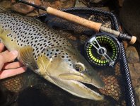 Stillwater Fly Fishing From A To Z