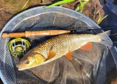 TOP Tips Of CzechNymph Ambassadors For Summer Fly Fishing		