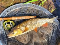 TOP Tips Of CzechNymph Ambassadors For Summer Fly Fishing		